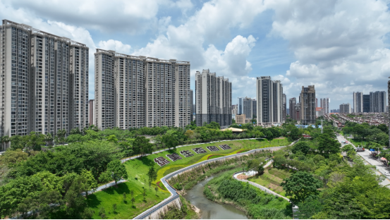 大亚湾淡澳河生态廊道全线贯通