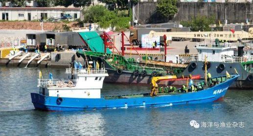 大亚湾环境水务集团组织开展生态补偿 增殖放流活动